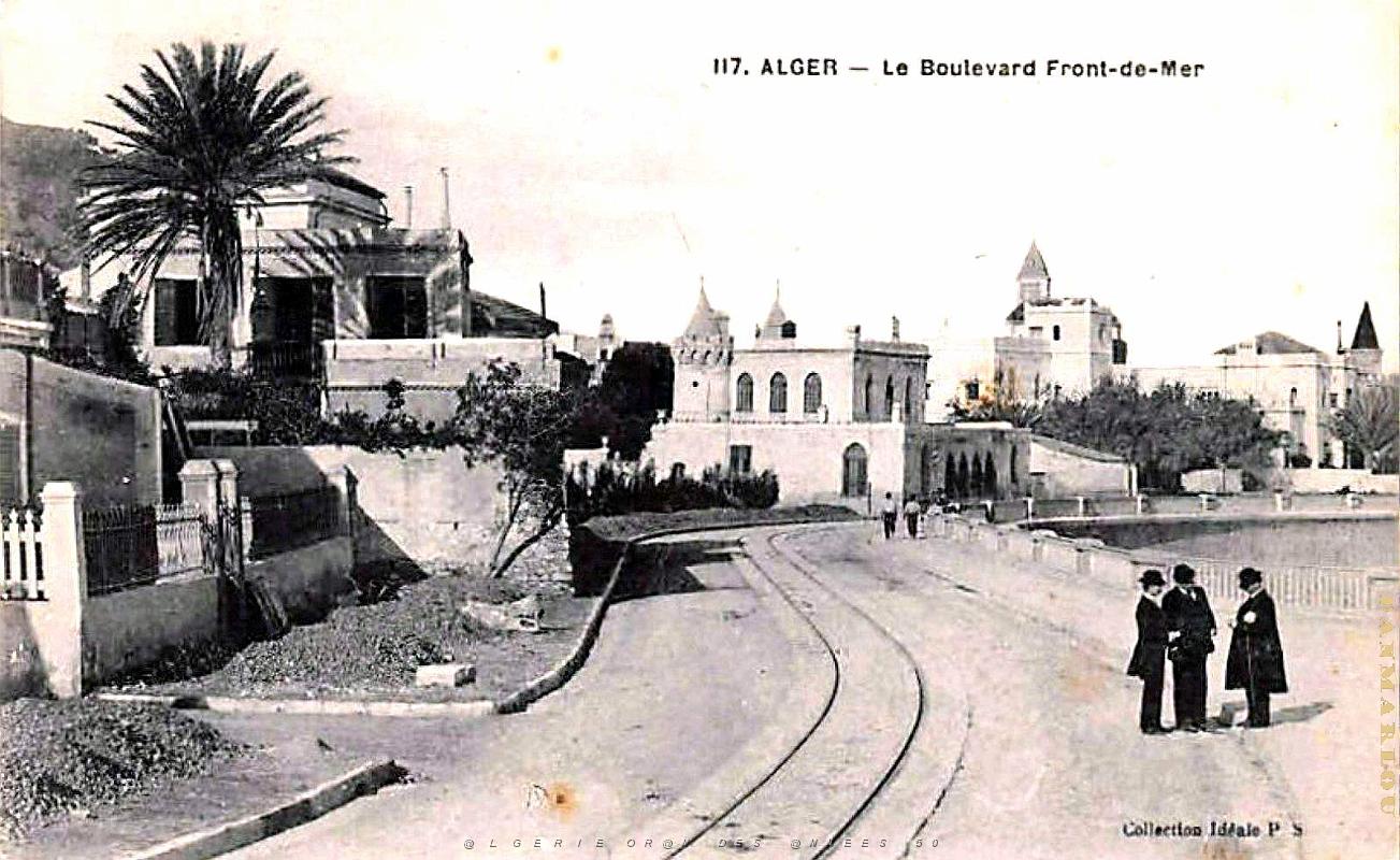 Alger - Boulevard Front de Mer .jpg